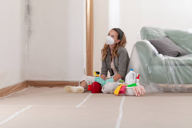 Reliable Mold Remediation contractor in Mount Holly, NC by Cheap Mold Removal
